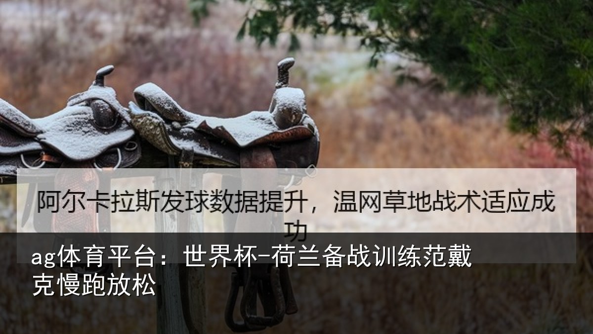 ag体育平台:世界杯-荷兰备战训练范戴克慢跑放松