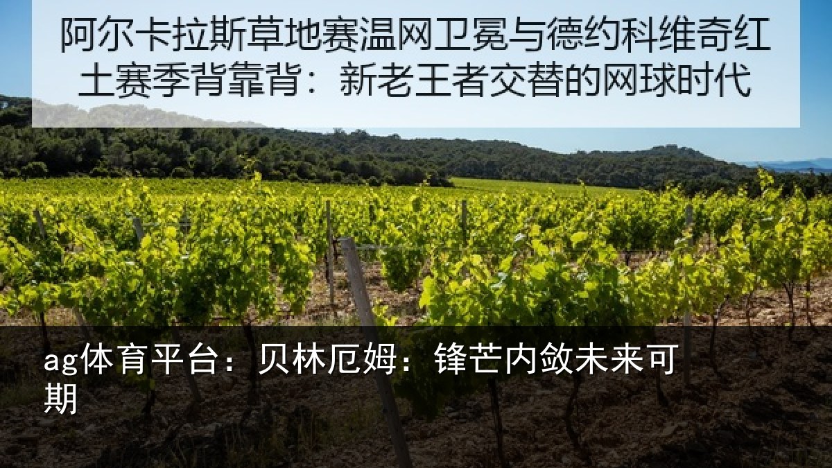 ag体育平台：贝林厄姆：锋芒内敛未来可期