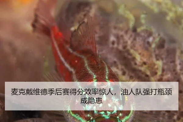 mai-ke-dai-wei-de-ji-hou-sai-de-fen-xiao-lv-jing-ren-you-ren-dui-qiang-da-ping-jing-cheng-yin-huan-2-903.jpg