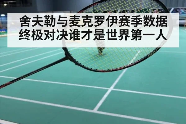 舍夫勒与麦克罗伊赛季数据终极对决谁才是世界第一人